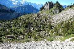DSCN5272