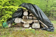 IMG_20220506_134102